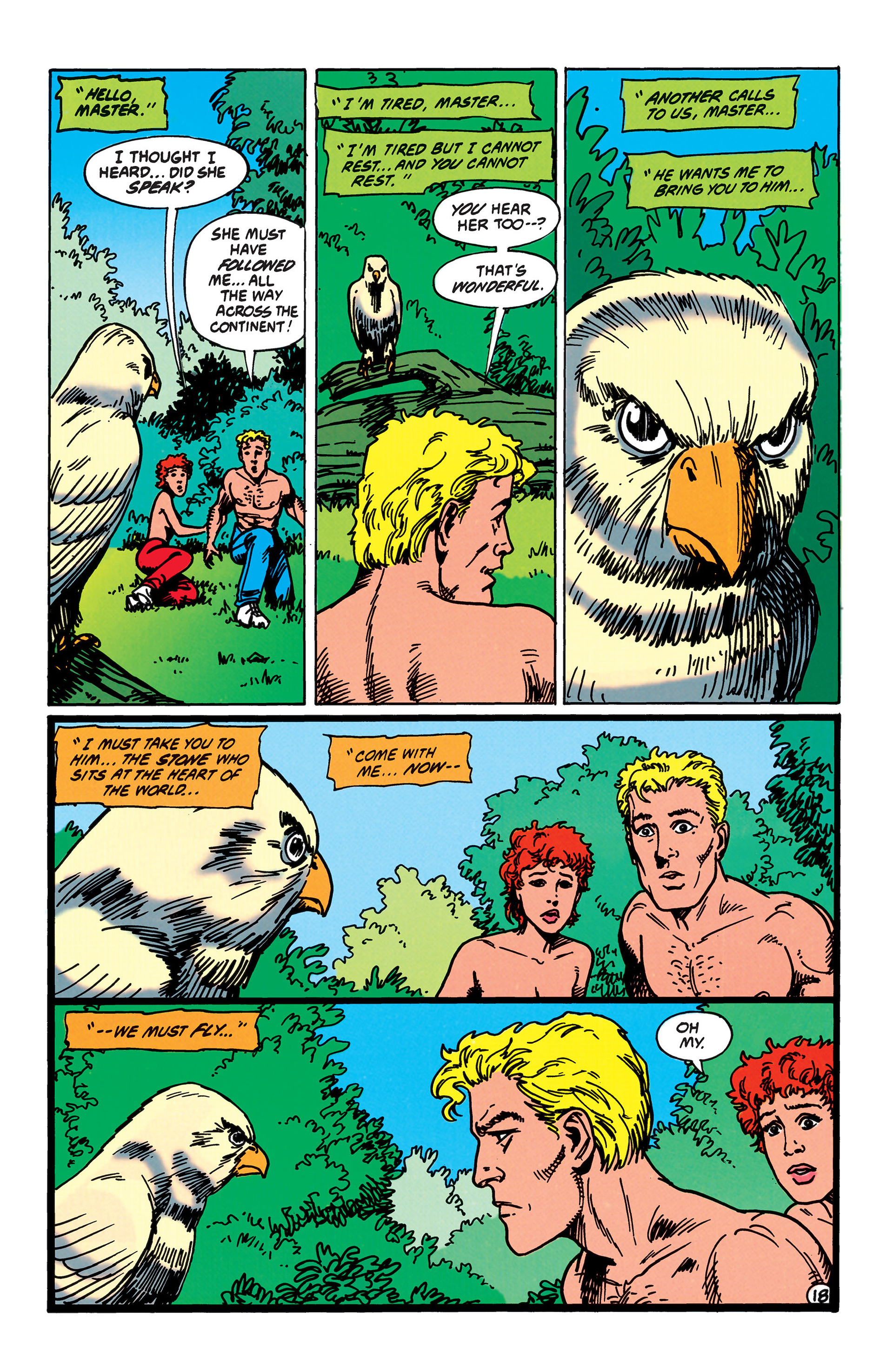 Read online Animal Man (1988) comic -  Issue #41 - 19