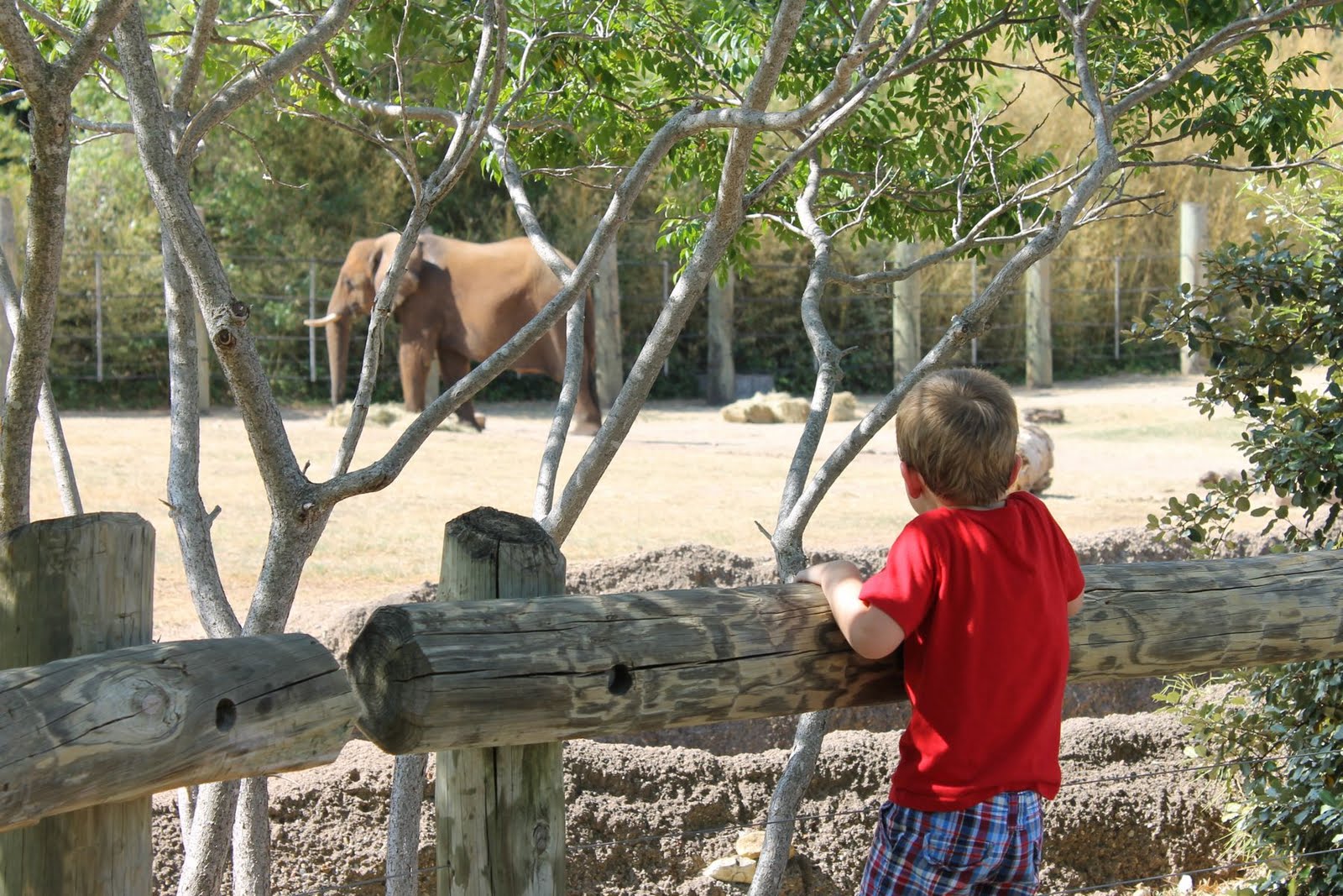 The Kerstens Cameron Park Zoo