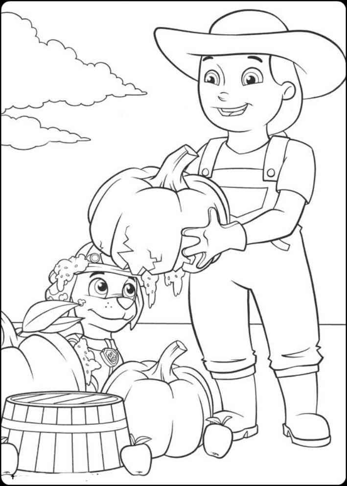 Gambar Mewarnai Paw Patrol Mewarnai Gambar