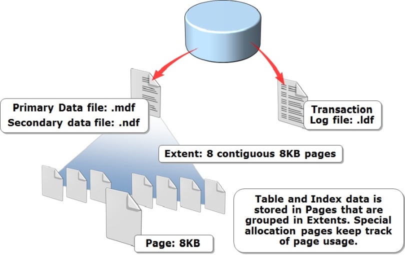 IN and OUT SQL Server: SQL Server Architecture 2005 Onwards