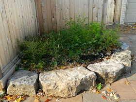 Pape Village Toronto garden cleanup before by Paul Jung Gardening Services