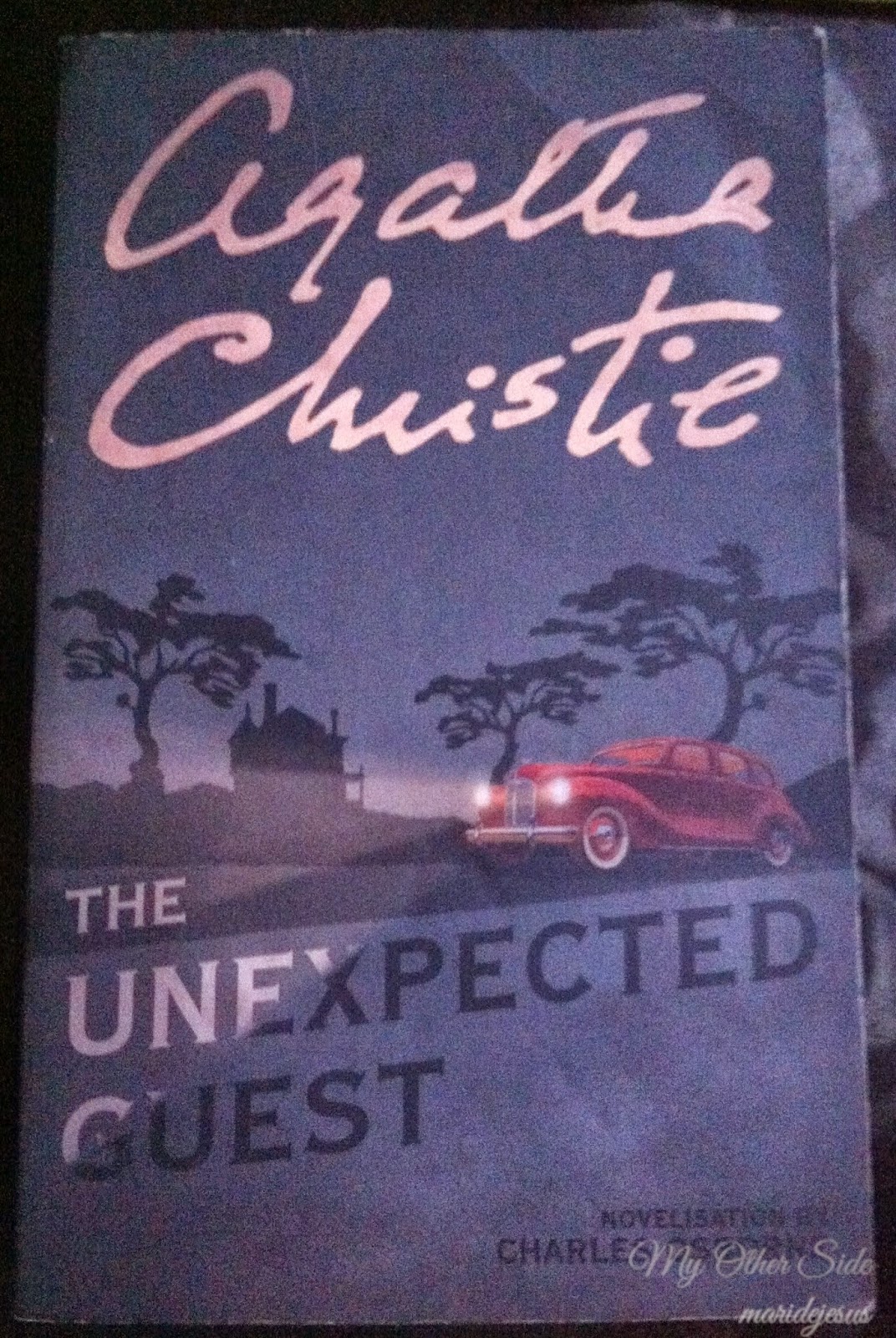 The Unexpected Guest A Review sumMARIzed