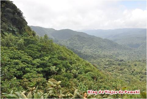 Bosque Nuboso de Monteverde, Costa Rica, Blog de Viajes En Monteverde, Costa Rica, se encuentra un de los mas importantes ecosistemas de Bosque Nuboso del mundo.