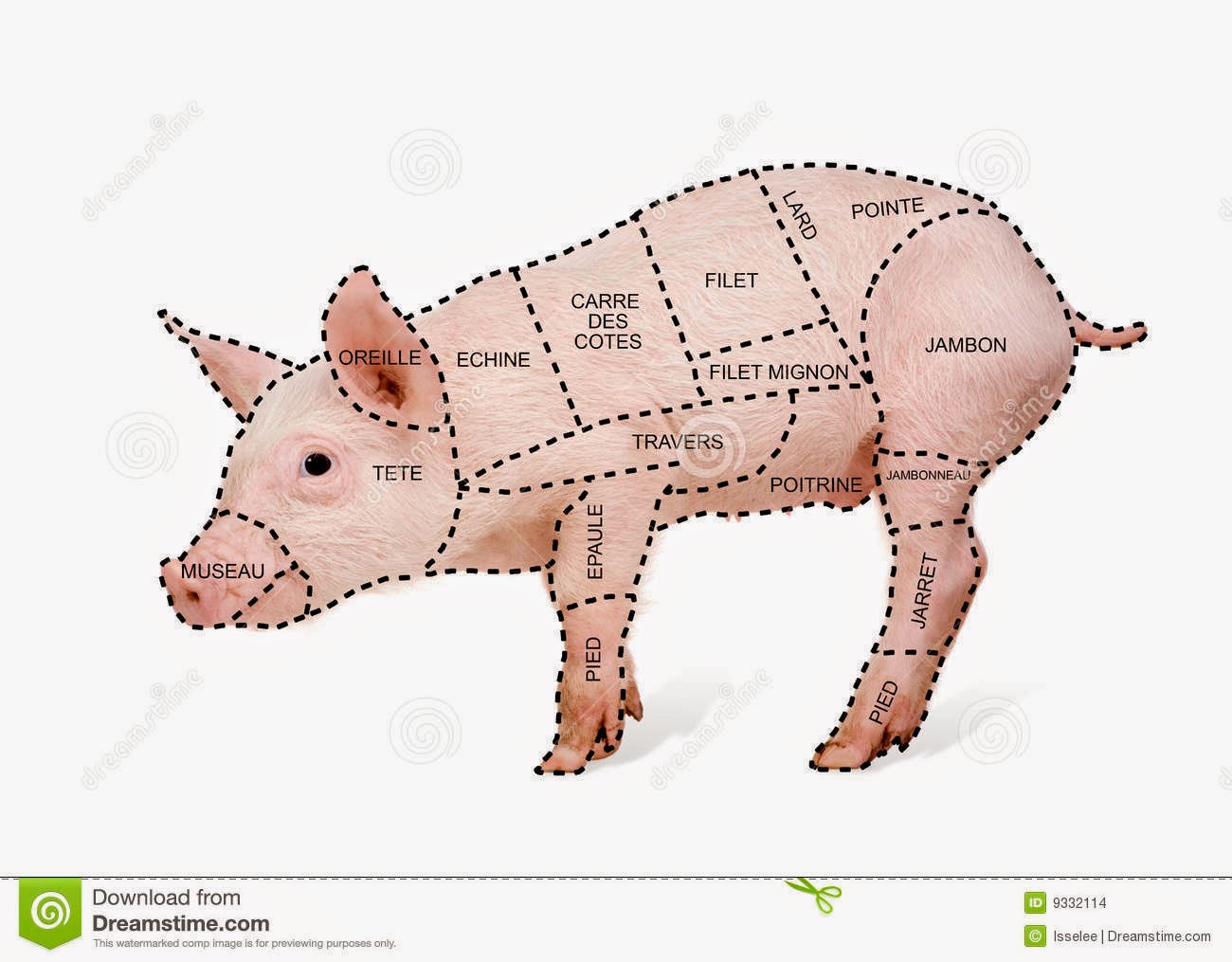 porco in francese 023NLN