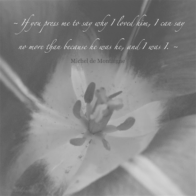 If you press me to say why I loved him, I can say no more than because he was he, and I was I. - Michel de Montaigne
