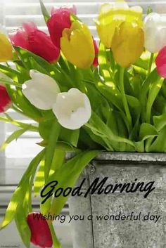 good morning flowers images hd