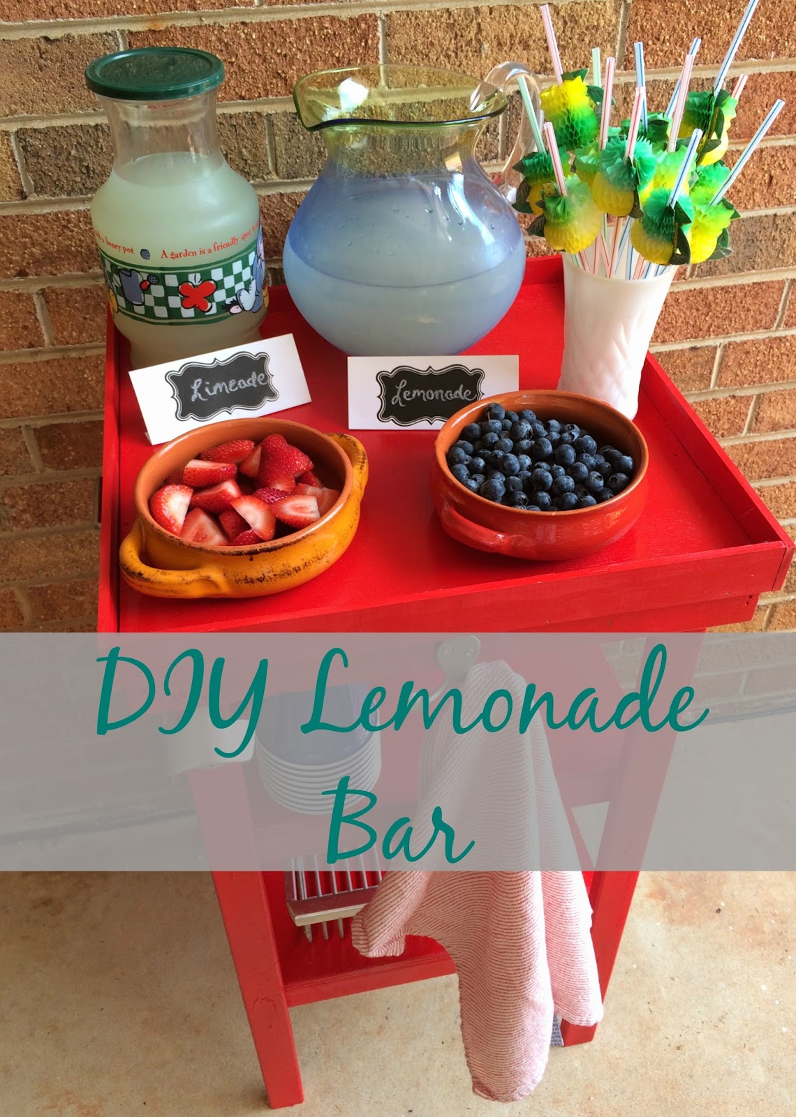 Real Girl's Realm DIY Lemonade Bar