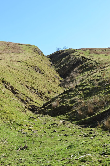 A narrow cut in the hillside formed by a stream.