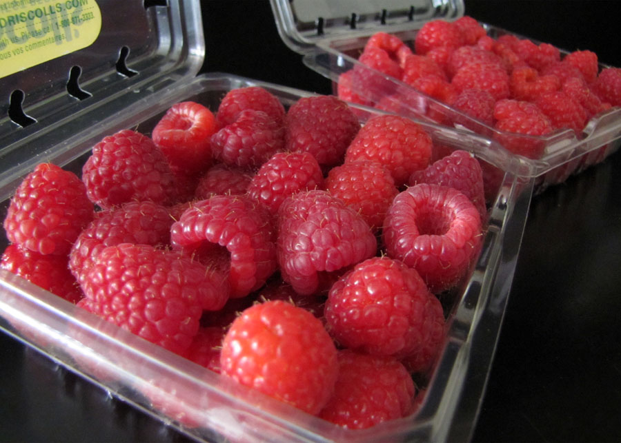 Smells Like Food in Here Driscolls Raspberries