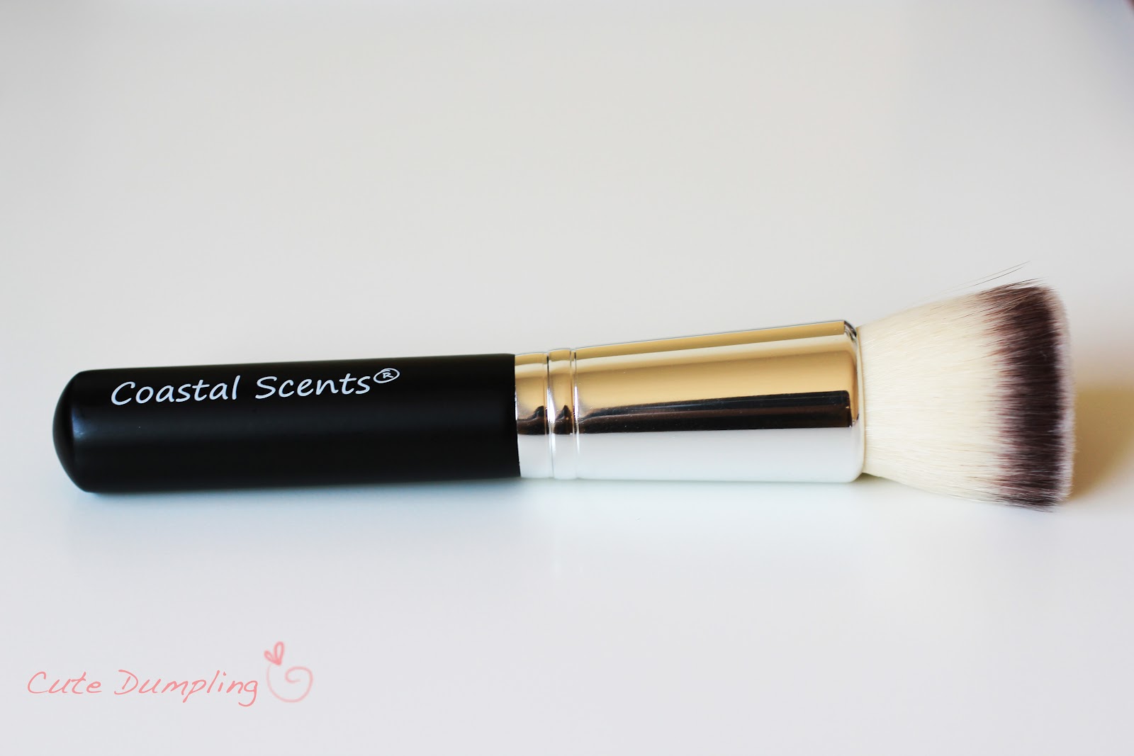 Cute Dumpling REVIEW Coastal Scents Brushes *PIC HEAVY*
