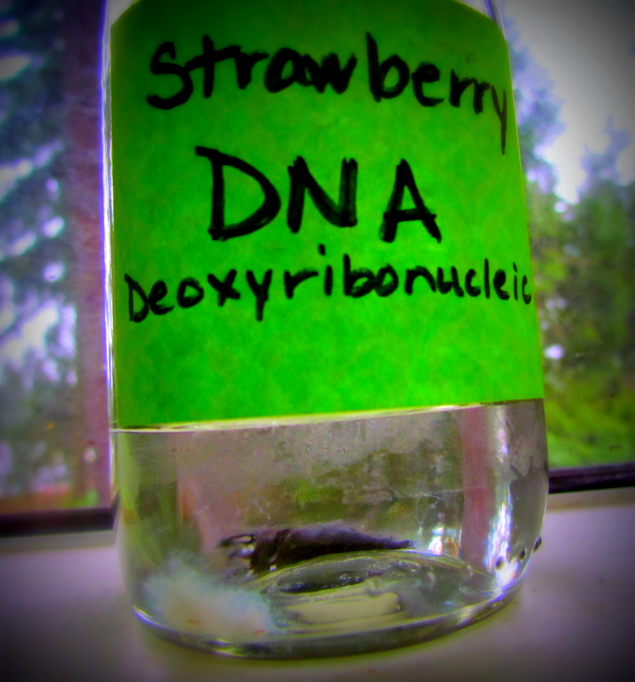 Learn To Grow: How to extract DNA from Strawberries