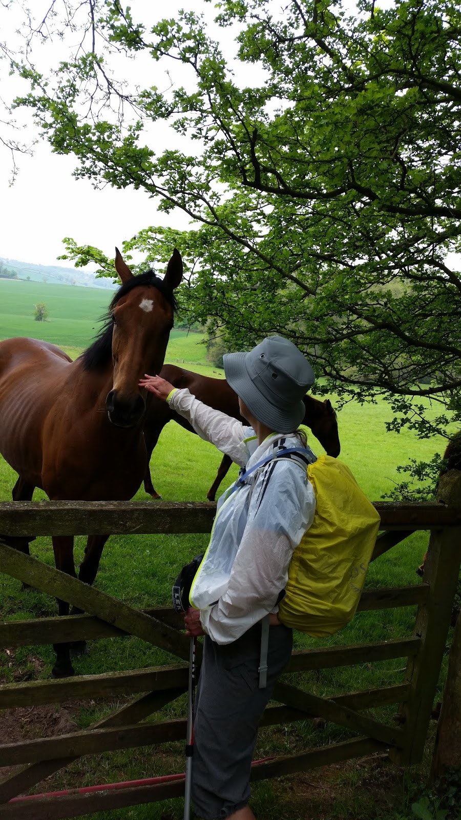 The Cake and Ale trail