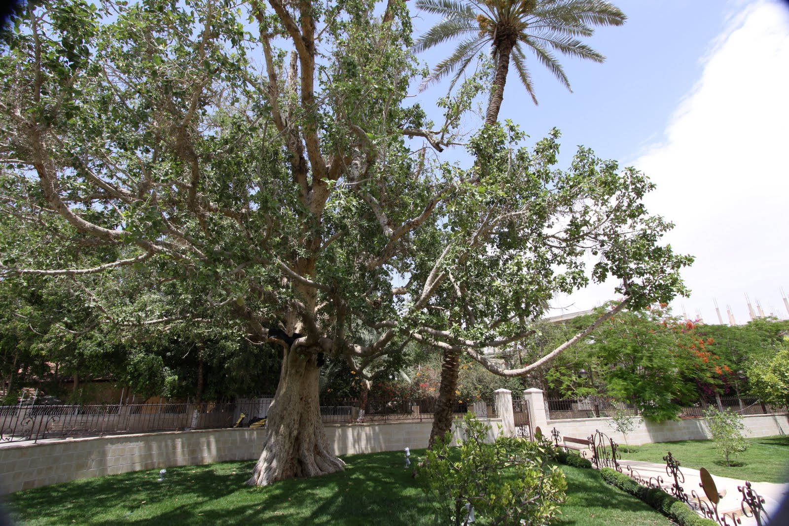 MAP to Israel: 15. Along the Trunk road to Jerusalem