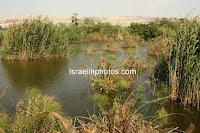 Посетите Израиль: Хула (озеро)