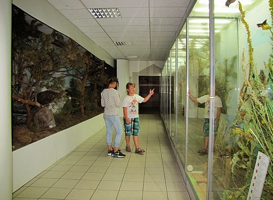 Muzeum Przyrodnicze Wolińskiego Parku Narodowego w Międzyzdrojach.