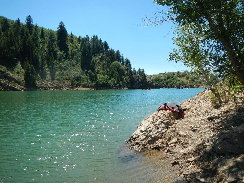FORREST GLADDING Causey Reservoir