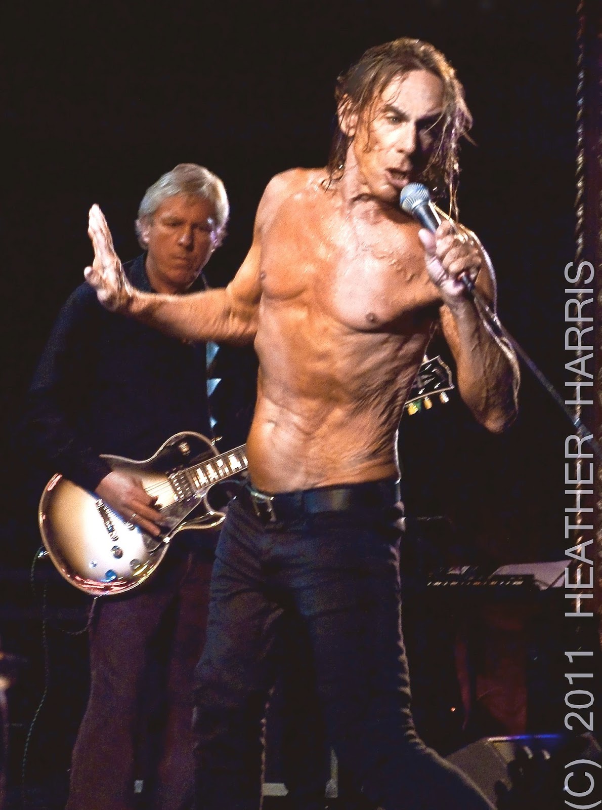 happy birthday iggy pop happy birthday iggy pop