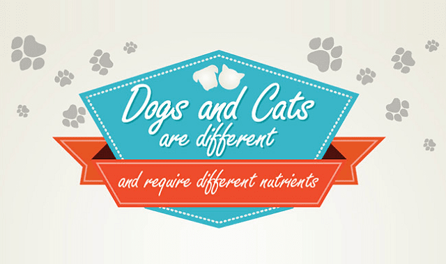 Image: Dogs and Cats are Different and Require Different Nutrients