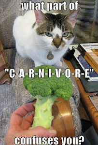 carnivore cat
