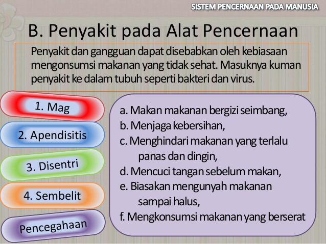 Penyakit Diare Disebabkan Adanya Gangguan Pada Alat Pencernaan Berbagai Alat