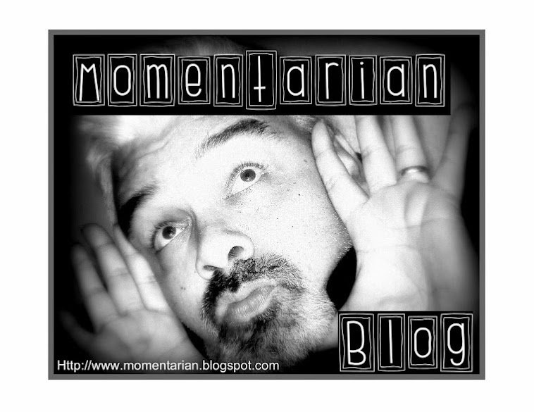 The Momentarian Blog