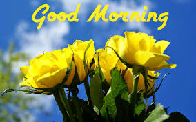 GOOD MORNING GOOD MORNING