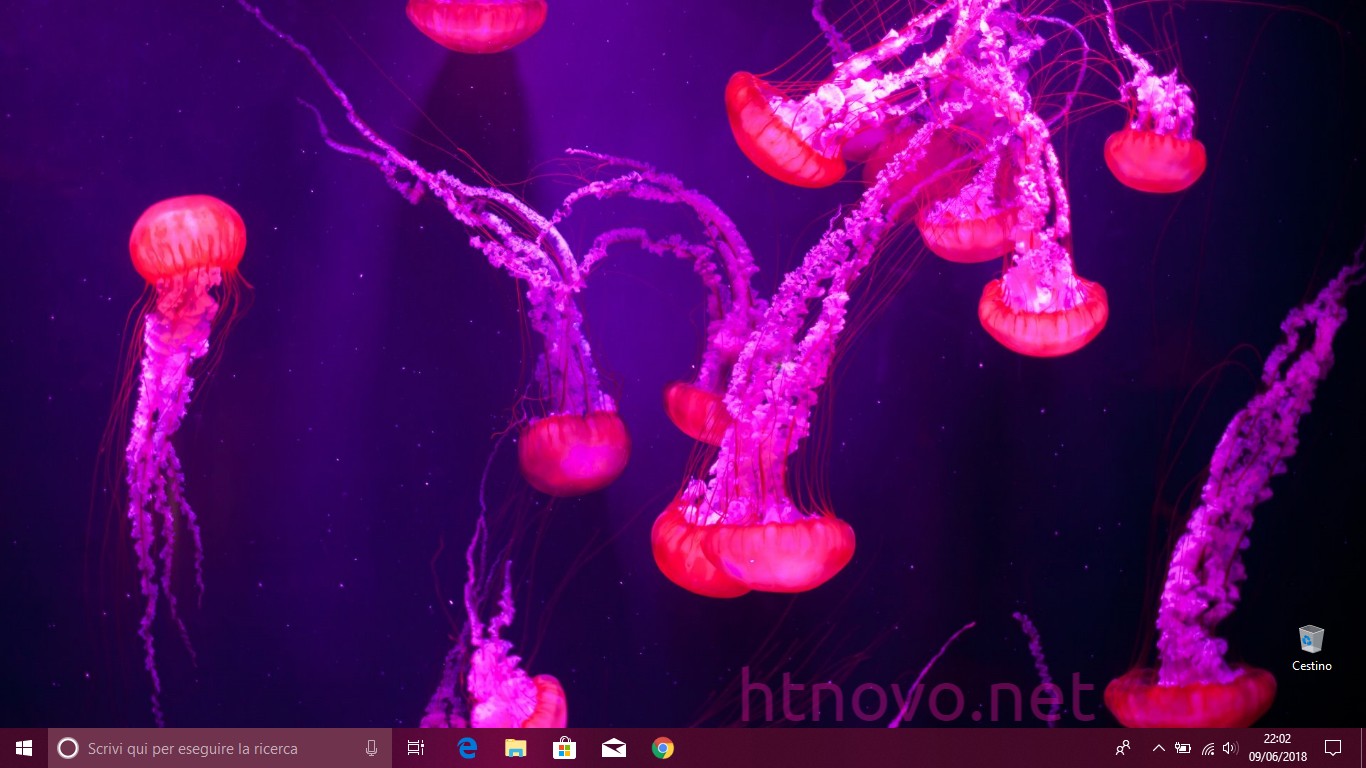 Undersea-Life-Tema-Windows-10
