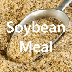 Forex trading soybean hours