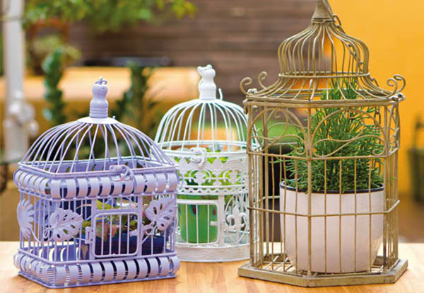 Gaiolas decorativas com plantas gaiolas-com-plantas-Abrir-Janela