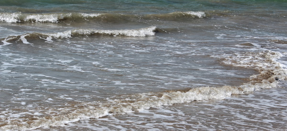 Paysages Et Fleurs Au Fil De L Eau Quelque Part En Mer Et Quelques Citations