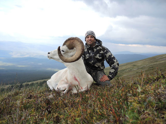 DonJr01_DallSheep-Harvest.jpg