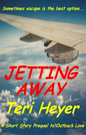 JETTING AWAY by Teri Heyer