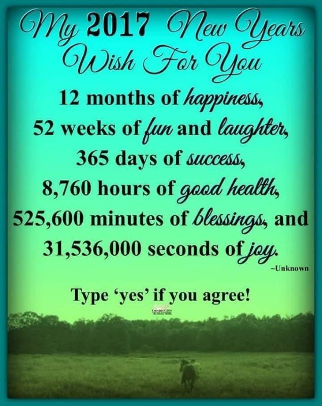 De Hof Van Het Heden De Geboorte Van Een Mooi Nieuw Jaar 2017