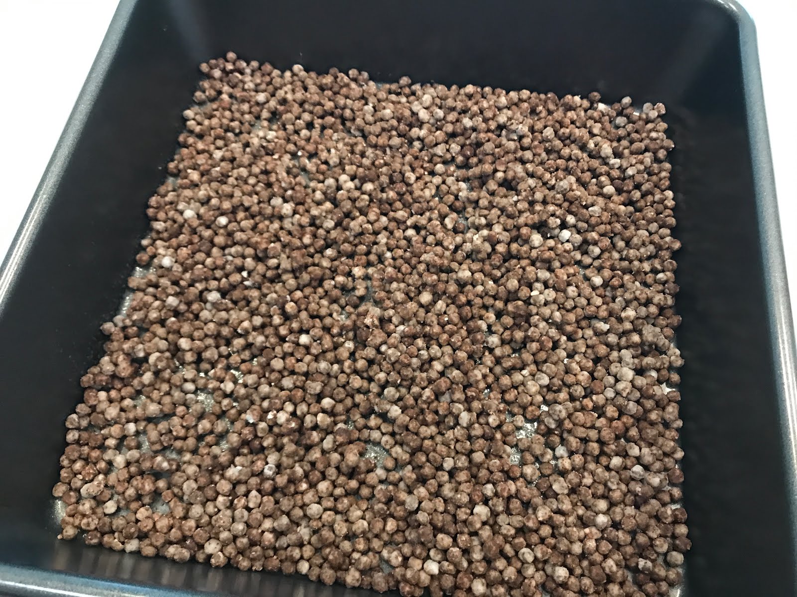 Protein "Cocoa Puffs" Caroline's Keto Kitchen