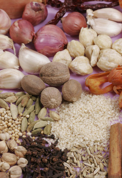 Resep Rahasia Kelezatan Masakan Padang Resep Masakan Padang Asli
