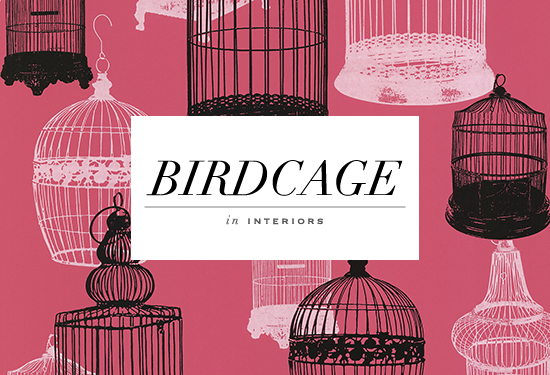 Avian Birdcages Wallpaper by Kenneth James