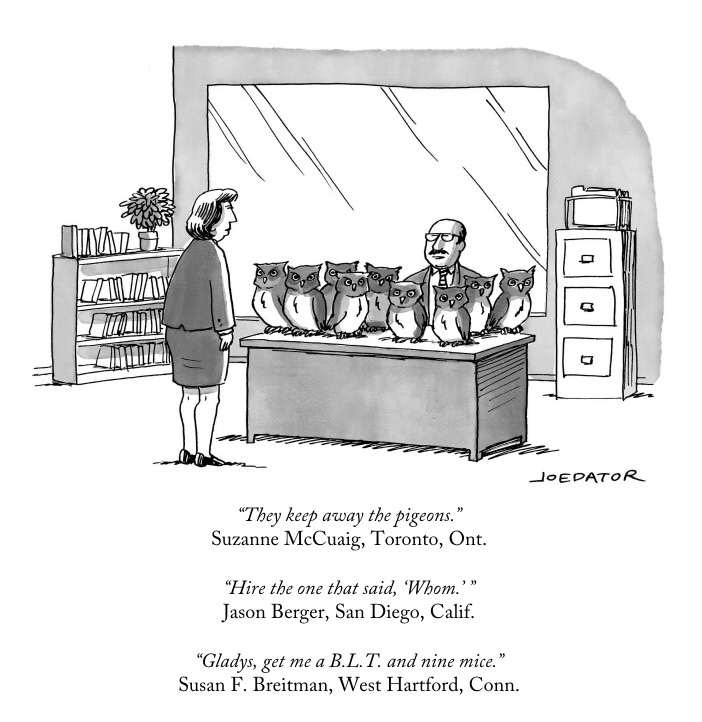 Attempted Bloggery My Entry in the New Yorker Cartoon Caption Contest #564