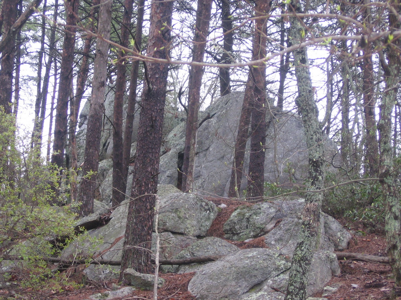 Relaxed Hiking NC Boulders Access South to the State Line
