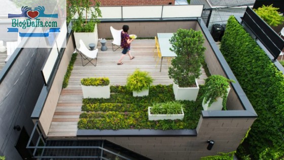Tips Berkebun di Rooftop Rumah Buatlah Perencanaan yang Matang