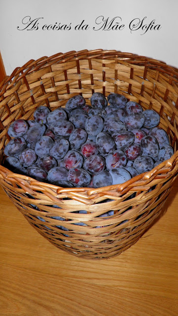 Gelado de ameixa rim / Sloes ice cream