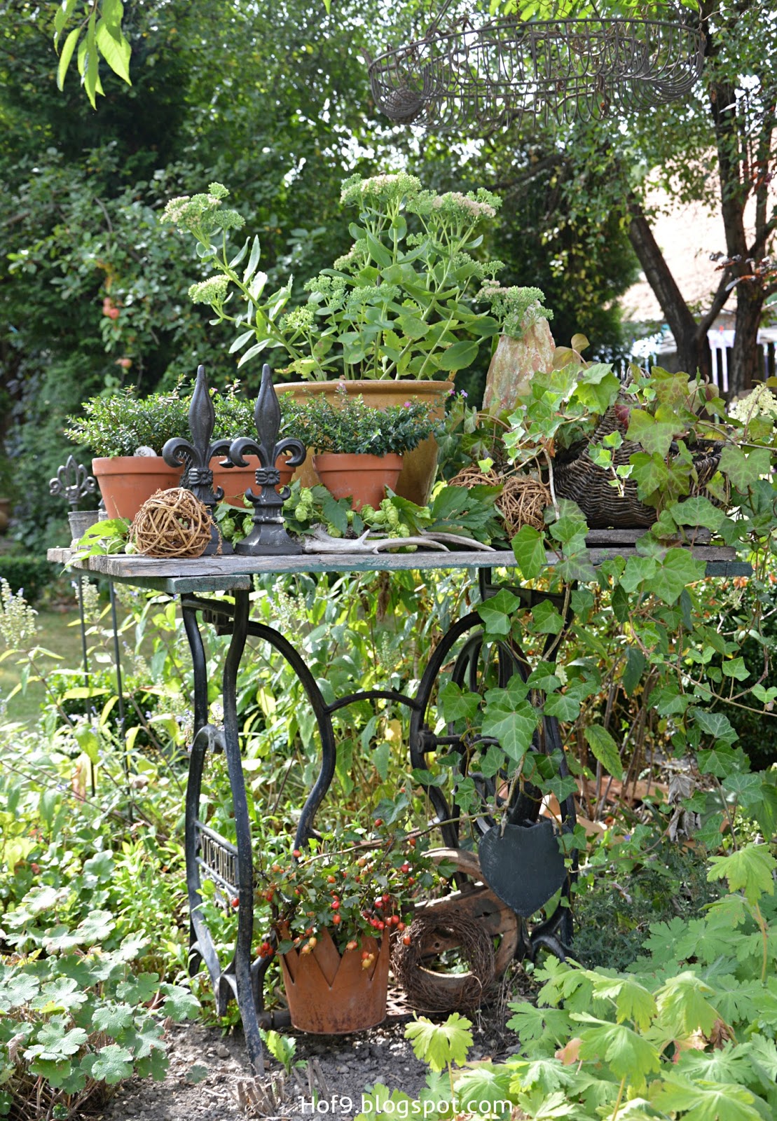 Hof 9 September 2016