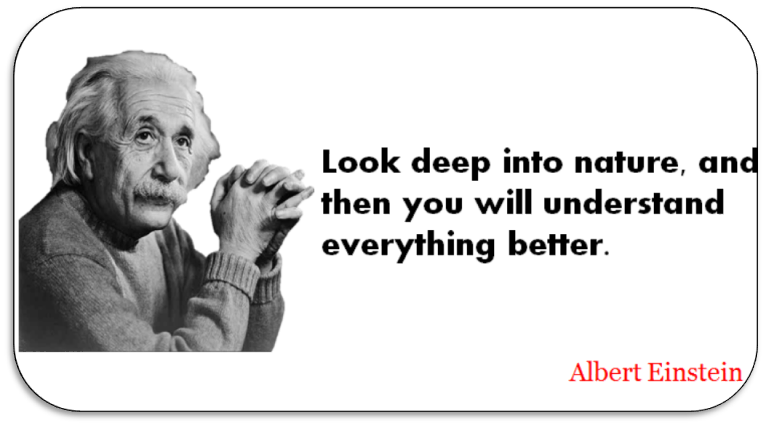 The Most Inspiring Albert Einstein Quotes - Food recipes