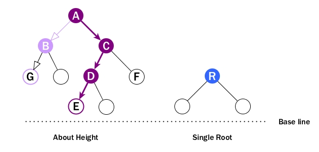 Height, Depth and Level of a Tree