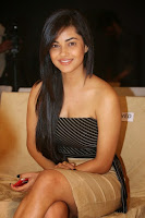 Meera Chopra Latest Hot Photos TollywoodBlog.com