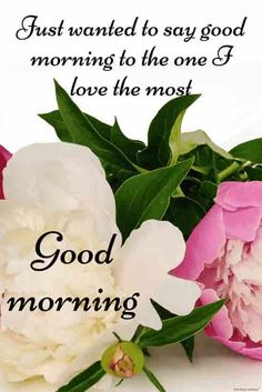 good morning friends images hd