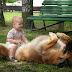 DOG & CAT :- WOW..! cho sweet.