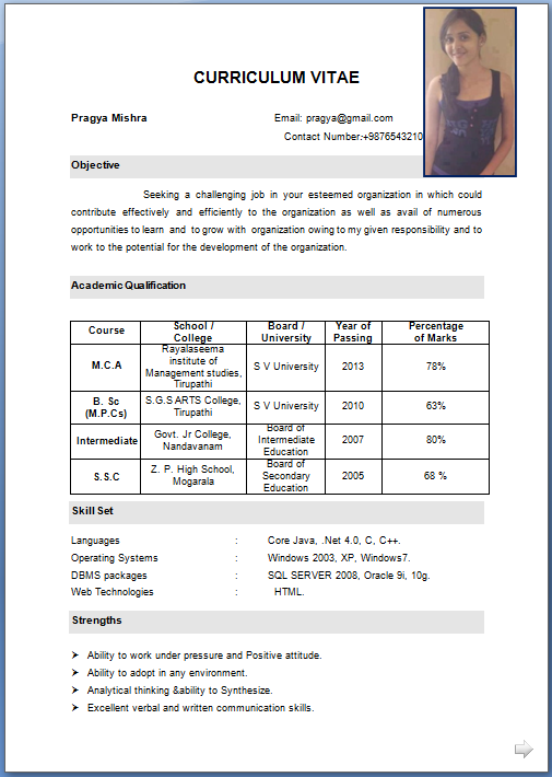 Storekeeper Cv Format Free Download Sample Template Examples Of