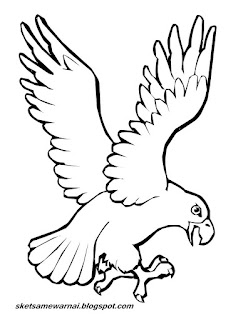 Sketsa Mewarnai Gambar Hewan Terbang Sketsa Mewarnai