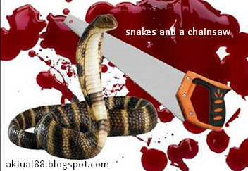 THE STORY OF SNAKE AND SAWS