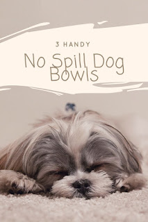 No Spill Dog Bowl
